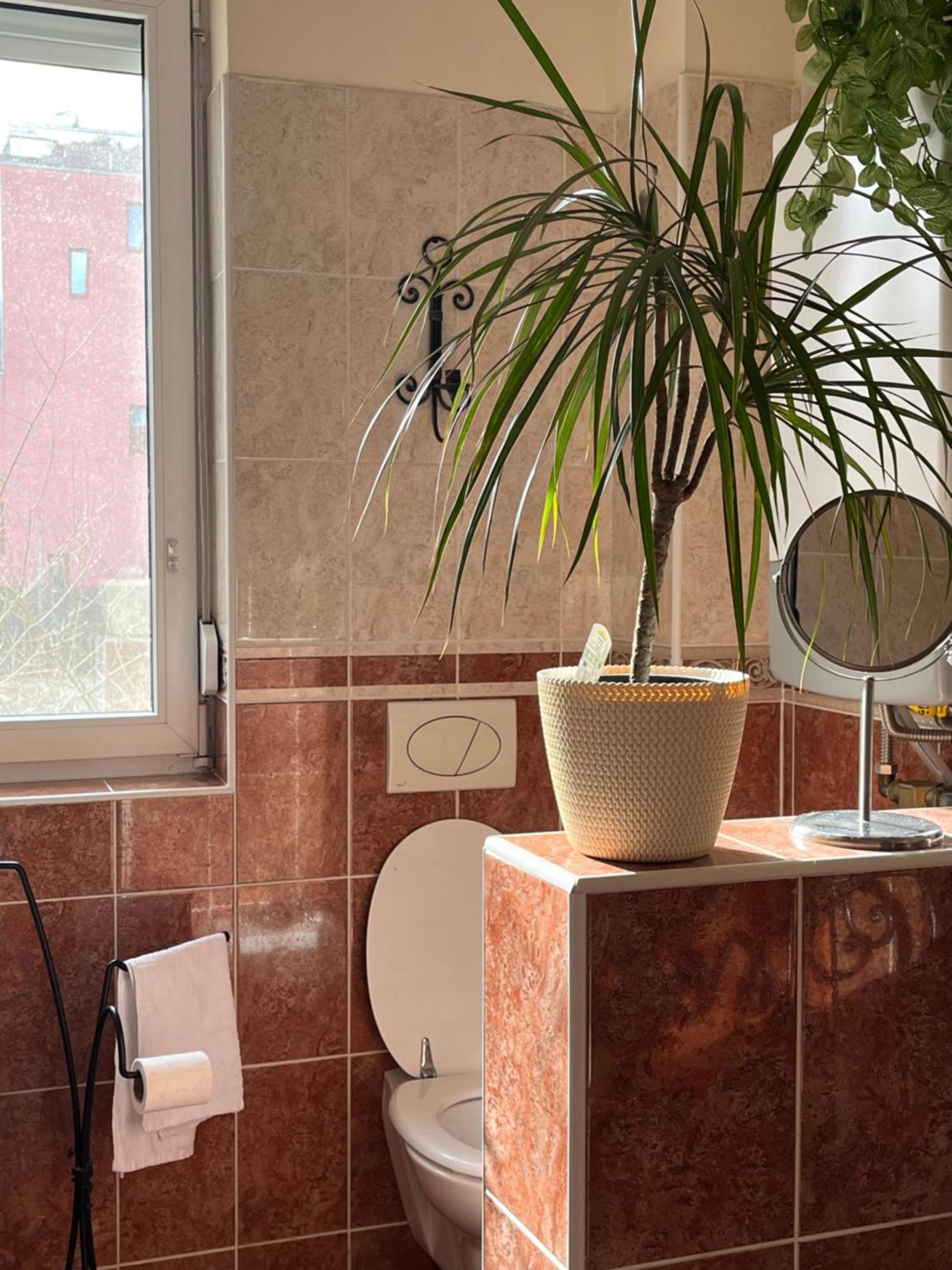 Kiraly Csaladi Apartman- Royal Family #freegarage Apartamento *